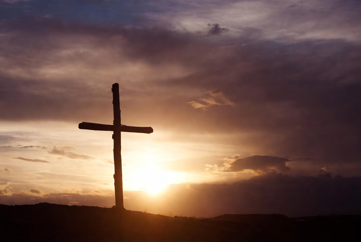 Day 49 Banner