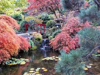 Gardens